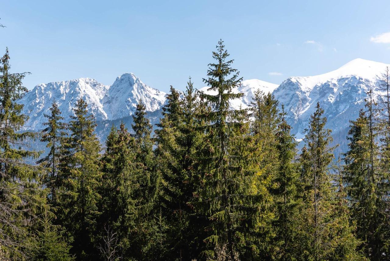 Apartamenty Kierpcówka Zakopane Exterior foto